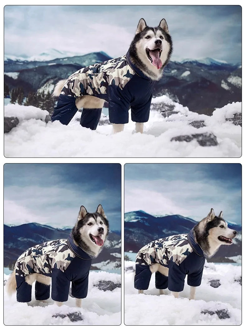 the SNOW DAWG - Waterproof Winter Warm Dog Jacket for Large Dogs