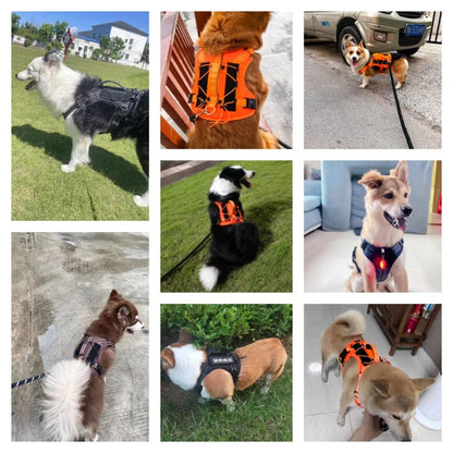 the HARNESS VEST - Dog Harness with Straps Lightweight Training Vest