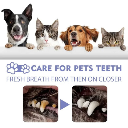 the ORAL SPRAY - Pet Teeth Cleaning Spray