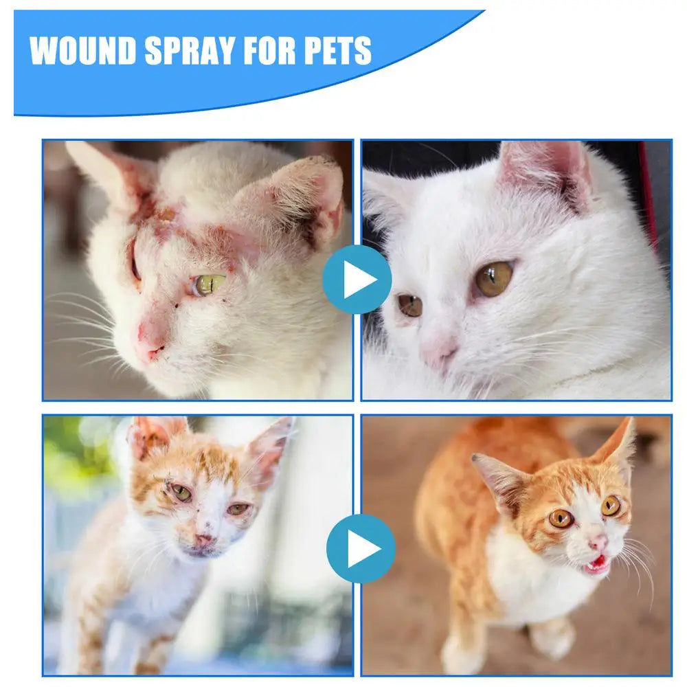 the WOUND SPRAY - 30ml Pets Anti-Itch and Itch Relief Spray