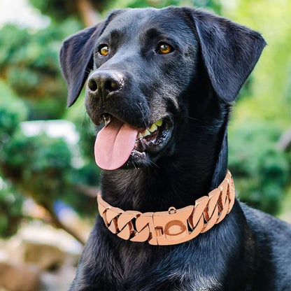 the BLING COLLAR - Stainless Steel Pet Training Choke Collar for Large Dogs