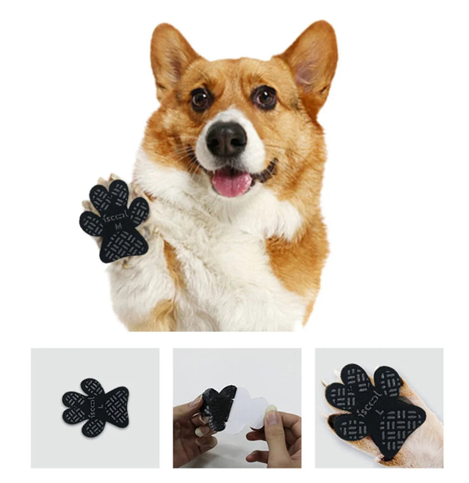 the PAW PADS - 4pc Dog Anti-Slip Paw Grip Traction Pads