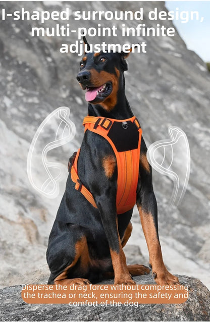 the HARNESS VEST - Dog Harness with Straps Lightweight Training Vest