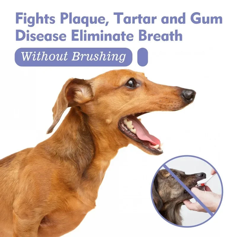 the ORAL SPRAY - Pet Teeth Cleaning Spray